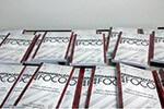 Docentes do IESA lançam o livro 